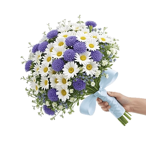Serene Petal Harmony