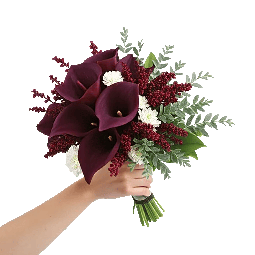 Elegant Calla Lilies