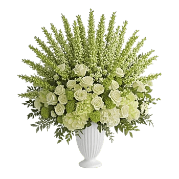 Ivory Blossom Radiance