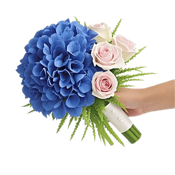 Serene Petal Harmony