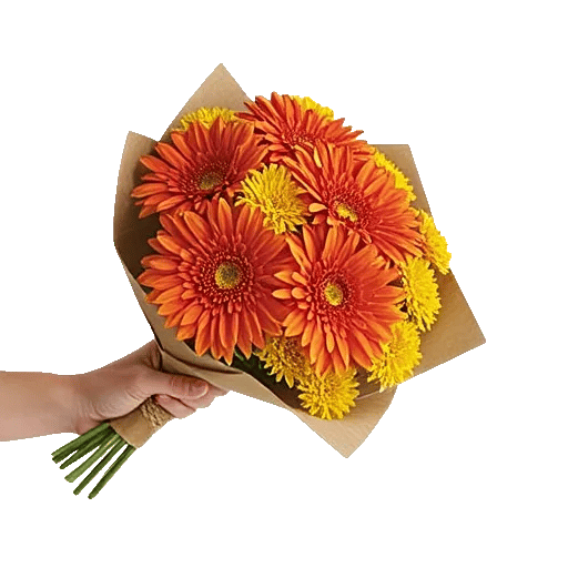 Petal Harmony Bliss