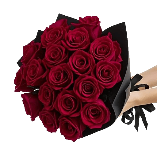 Crimson Rose Elegance