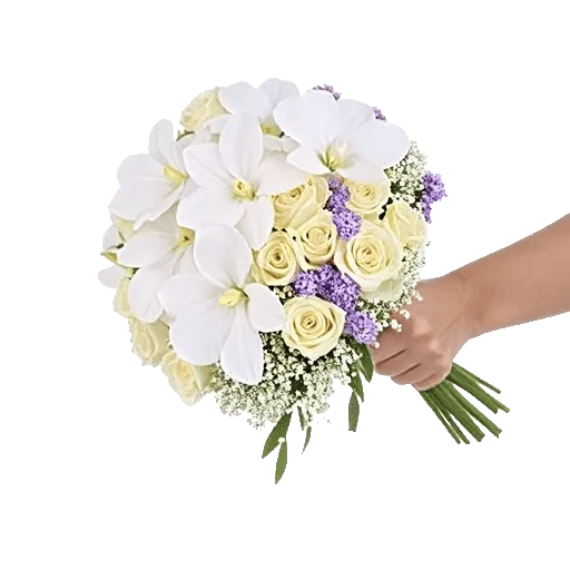 Modern White Orchids