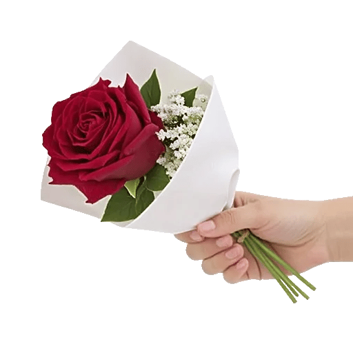 Crimson Rose Elegance