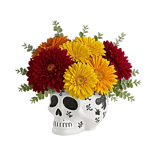 Modern White Orchids