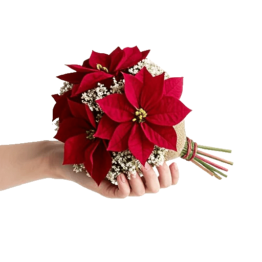 Delicate Petal Cascade