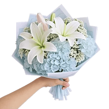 Blooming Serenity Display