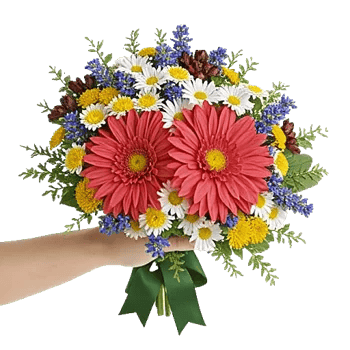 Blossom Petal Serenity