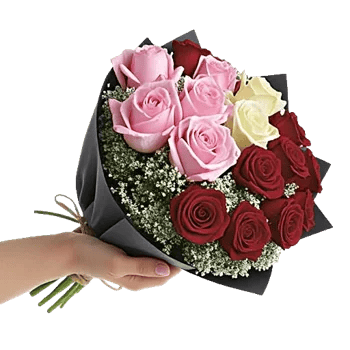 Blushing Rose Symphony