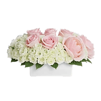 Delicate Petal Cascade