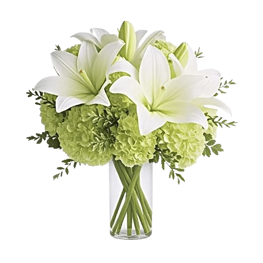 Ivory Blossom Radiance