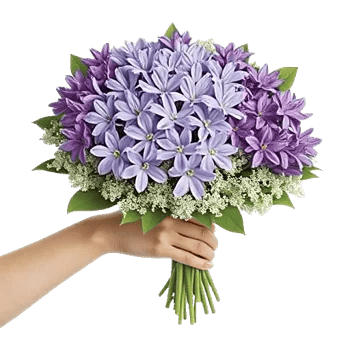 Blossom Harmony Display