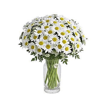 Ivory Blossom Radiance