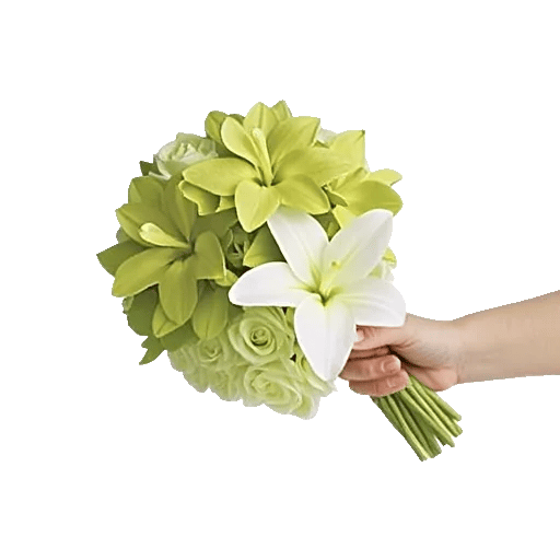 Serenity Orchid Bloom