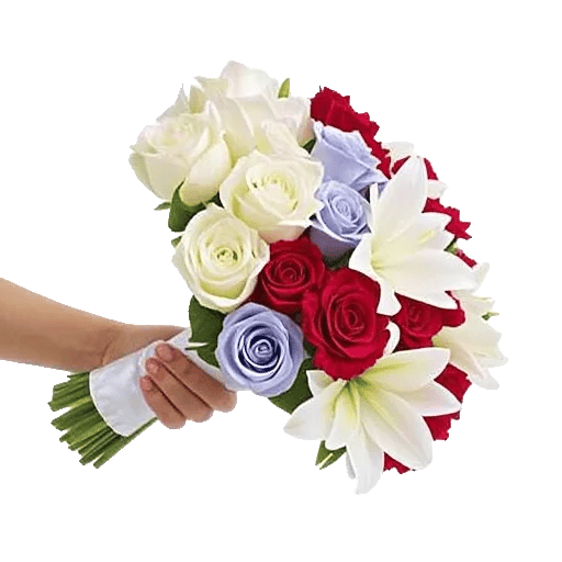 Blushing Rose Symphony