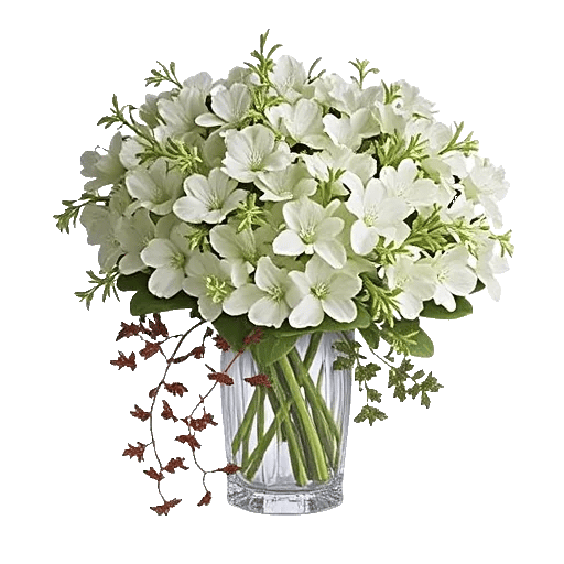 Ivory Blossom Radiance