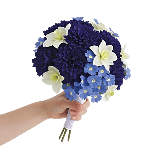 Morning Dew Blossoms