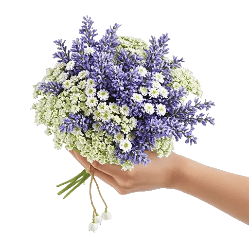 Delicate Petal Cascade