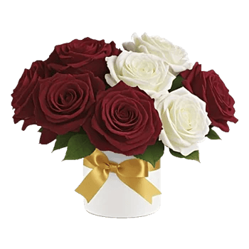 Crimson Rose Elegance