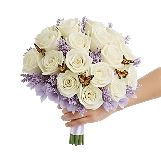 Blushing Rose Symphony