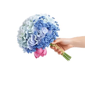 Serene Petal Harmony