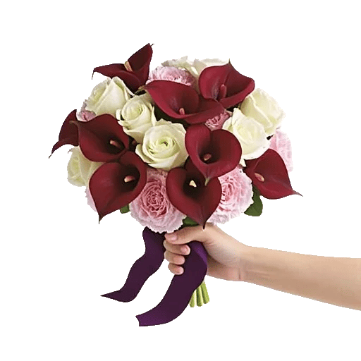 Elegant Calla Lilies