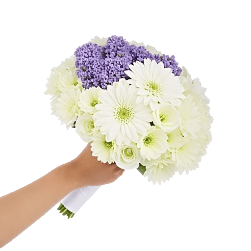 Ivory Garden Grace