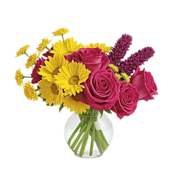Petal Radiance Bliss