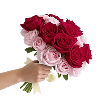 Crimson Rose Elegance