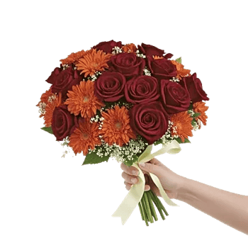 Blushing Rose Symphony