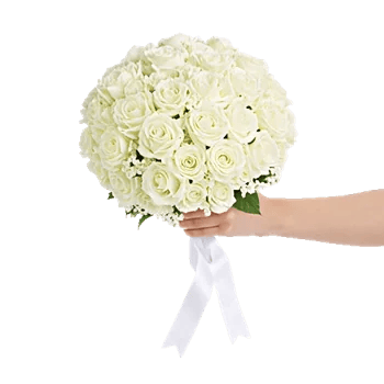 Delicate Petal Cascade