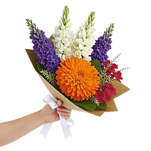 Petal Harmony Bliss