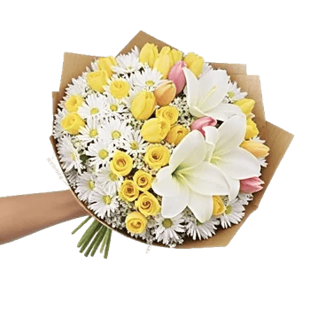 Ivory Garden Grace