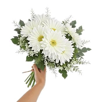 Minimalist White Orchids