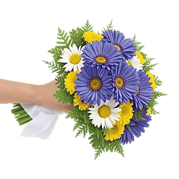 Blossom Petal Serenity