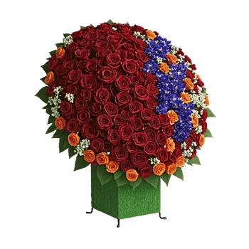 Crimson Rose Elegance