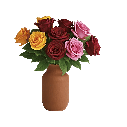 Radiant Rose Symphony