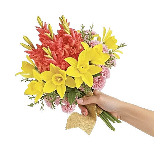 Blossom Glow Symphony