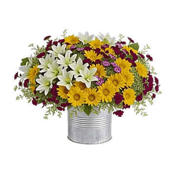 Graceful Lily Display