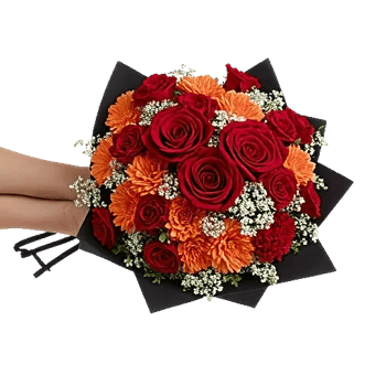 Crimson Rose Elegance