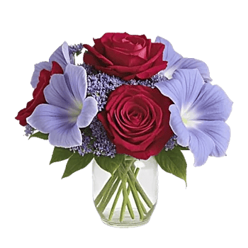 Glistening Rose Garden