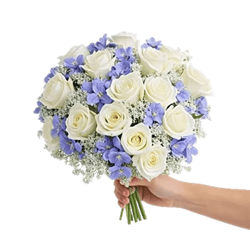 Blossom Petal Serenity