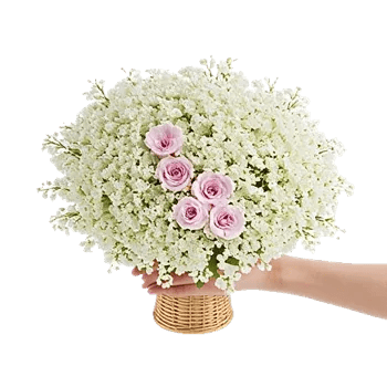 Blossom Harmony Display