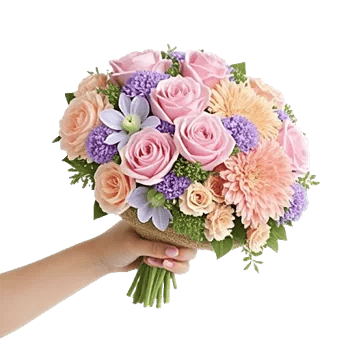 Pastel Pink Roses