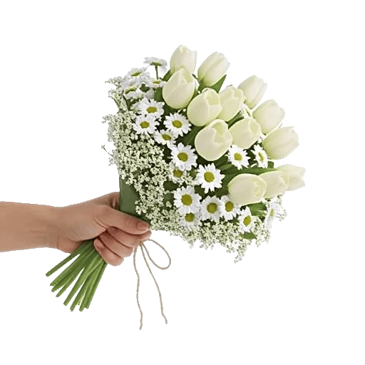 Blossom Harmony Display