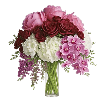 Petal Radiance Bliss