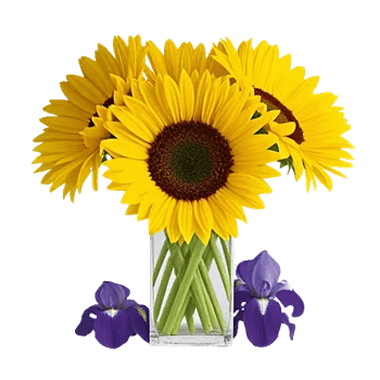 Radiant Bloom Cascade