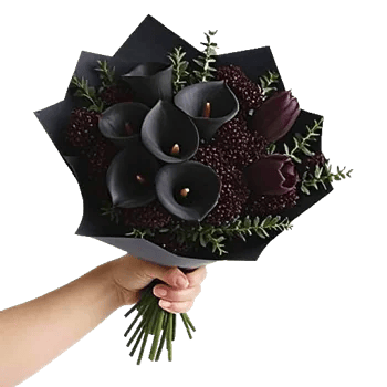 Elegant Calla Lilies