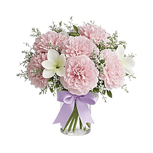 Ivory Blossom Radiance