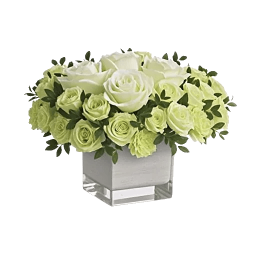 Delicate Petal Cascade